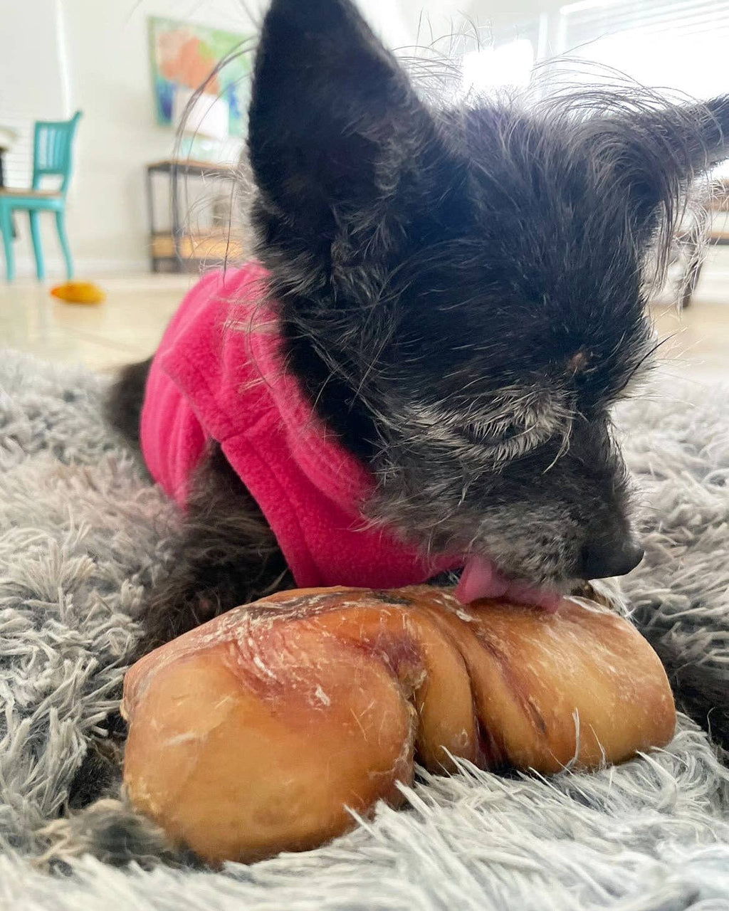 Rabbit Rawhides Baguettes