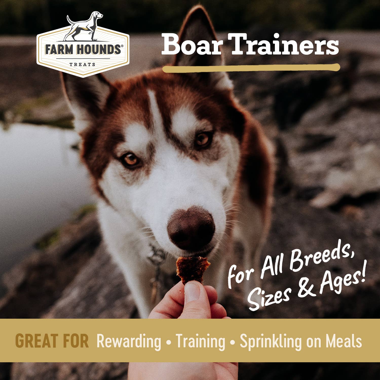 Boar Trainer - All-Natural Dog Treats - 4.5oz