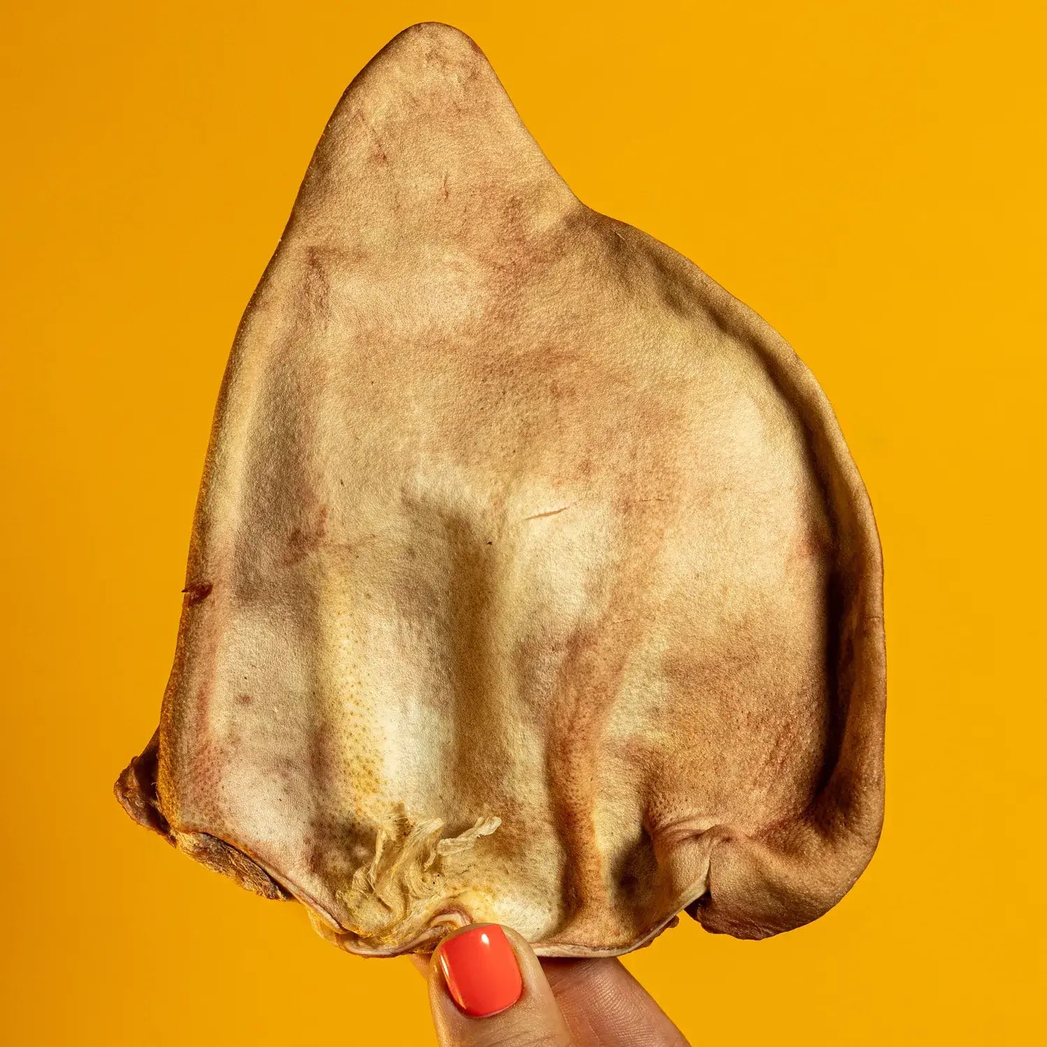 Freeze-Dried Pig Ear