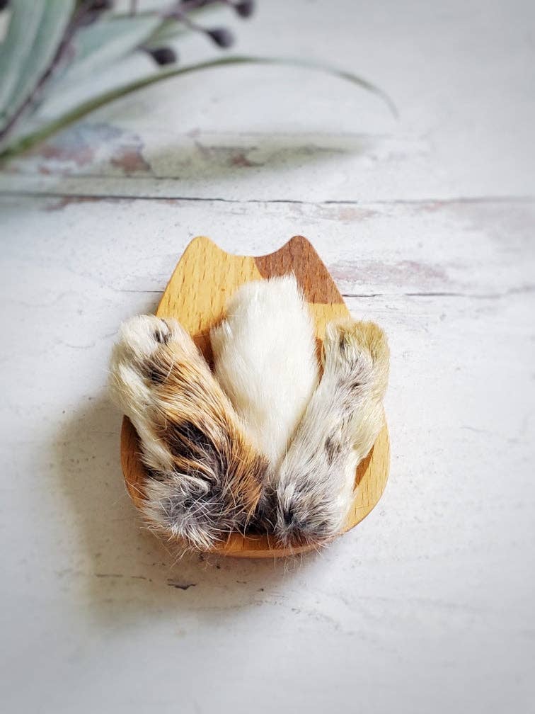 Rabbit Feet (Single)