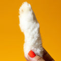 Freeze-Dried Rabbit Feet