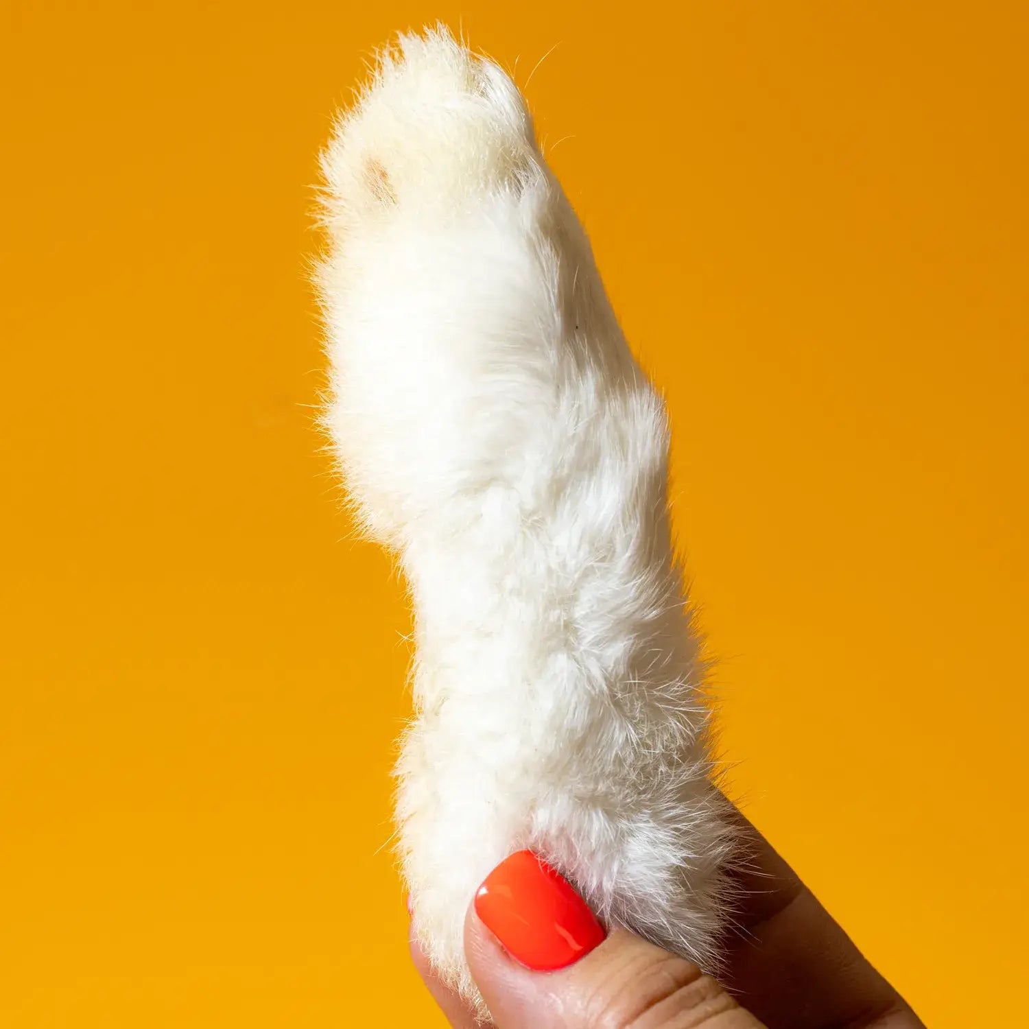 Freeze-Dried Rabbit Feet