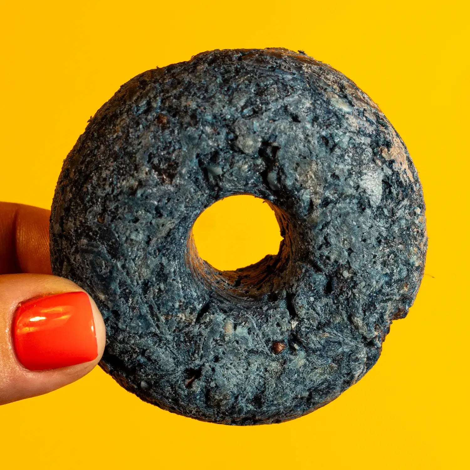 Freeze-Dried Duck & Spirulina Donut