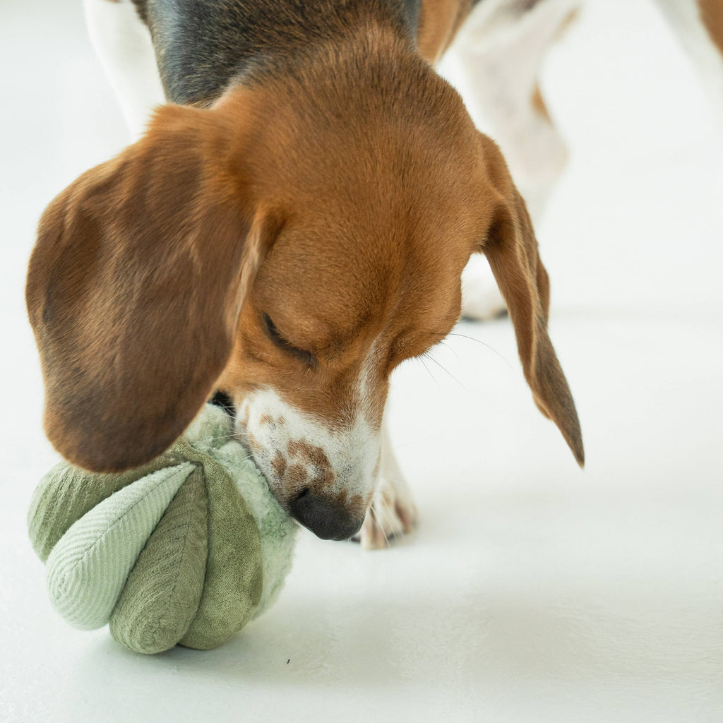 Toto Silent Snuffle Ball