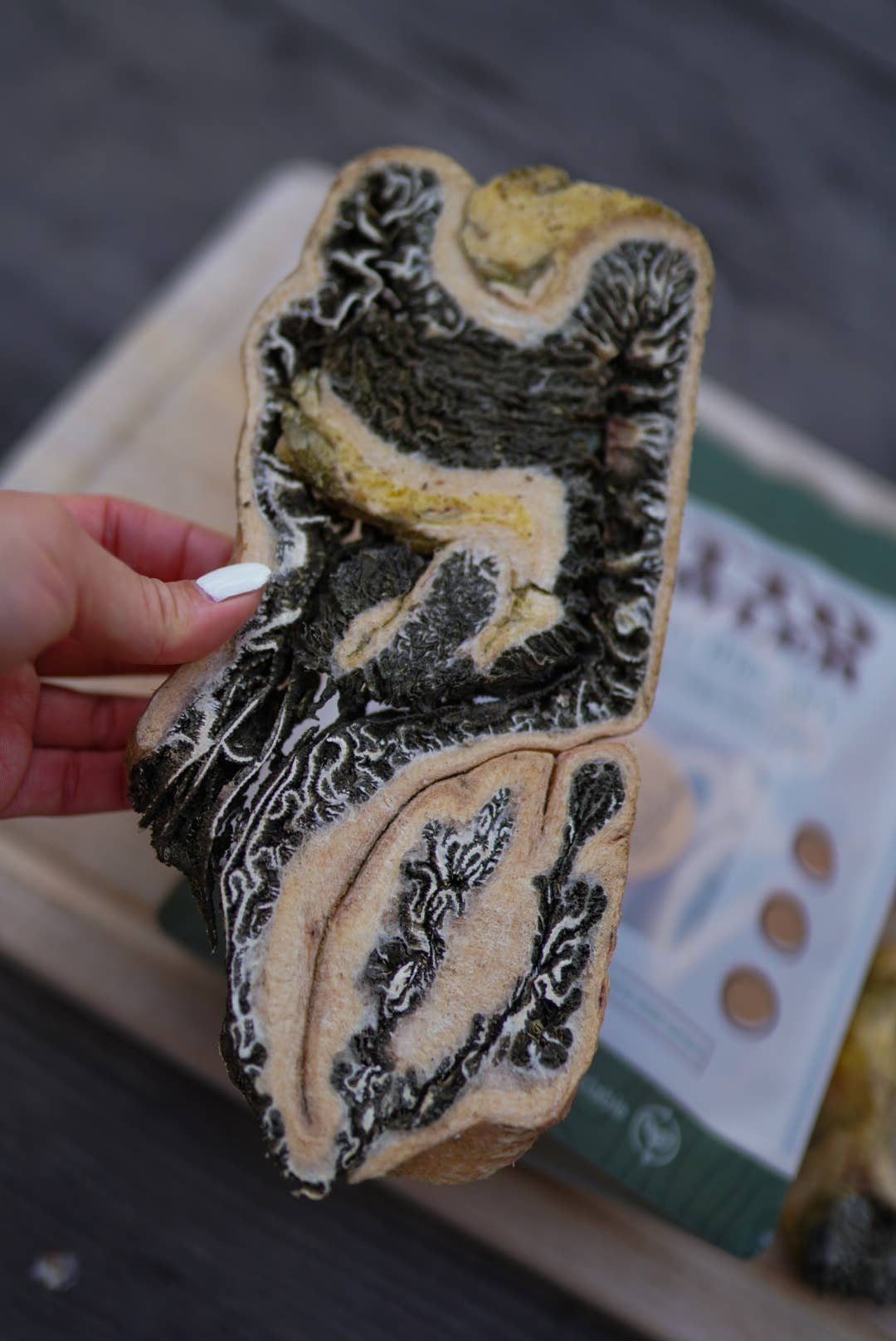 Freeze-Dried Beef Green Tripe