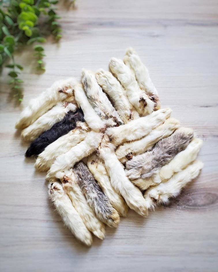 Rabbit Feet (Single)