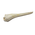 Full Length Bull Tail 18-22" 20cs