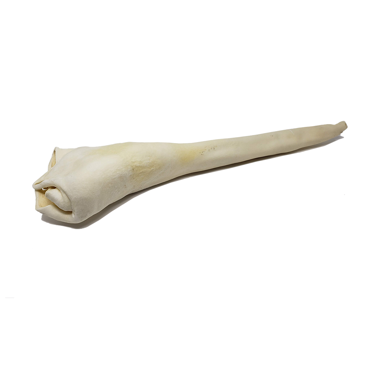 Full Length Bull Tail 18-22" 20cs