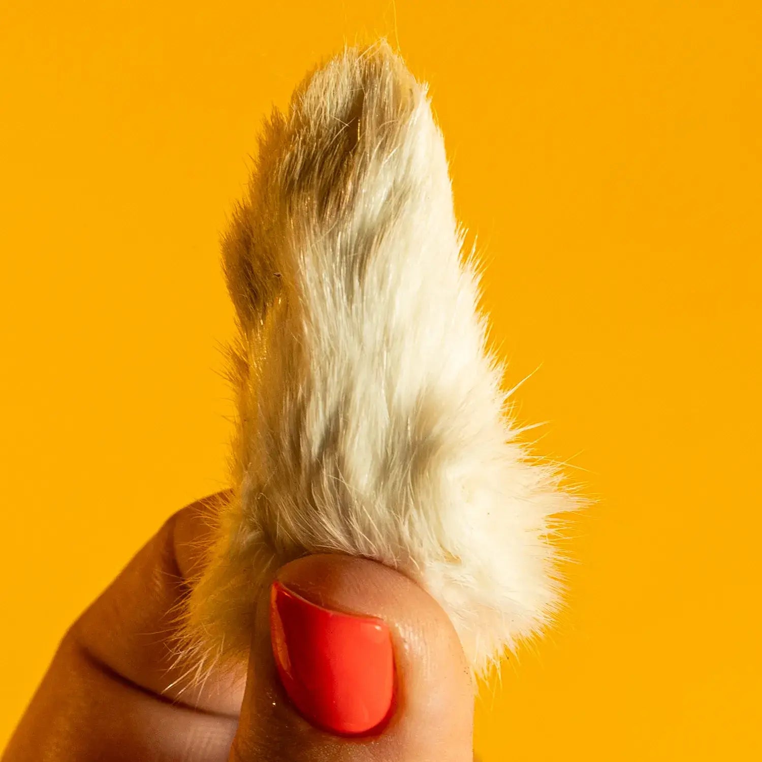 Freeze-Dried Rabbit Front Feet/Paw