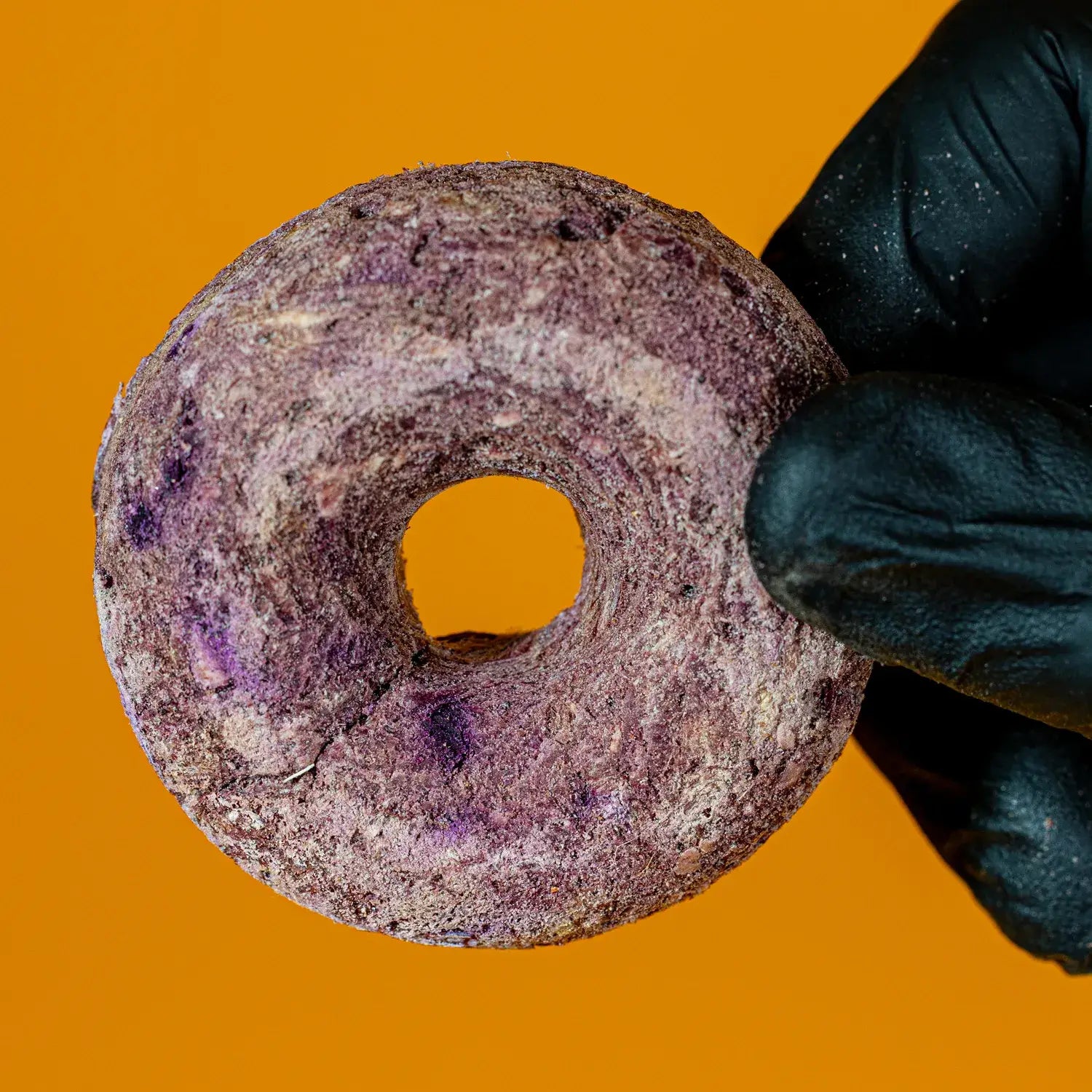 Freeze-Dried Venison & Purple Sweet Potato Donut