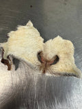 Goat/lamb Snouts