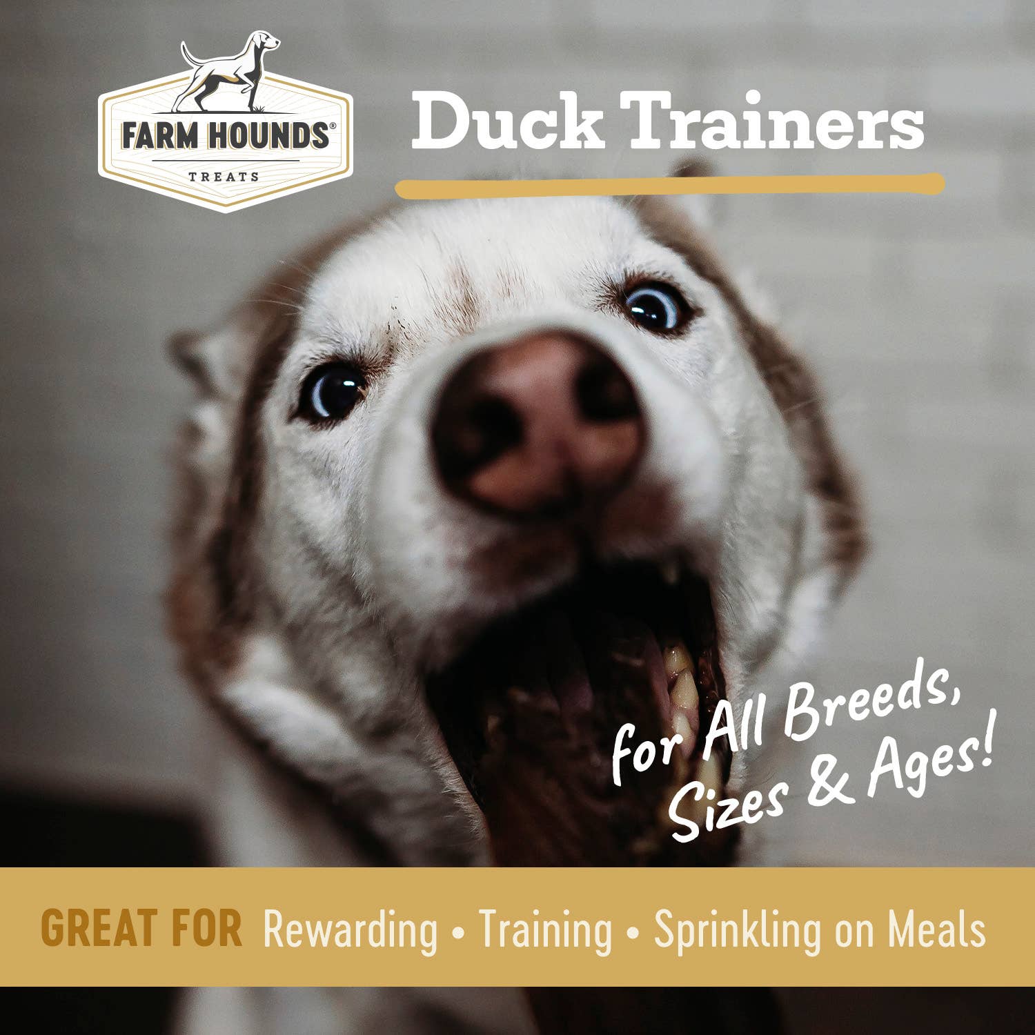 Freeze-Dried Duck Trainer
