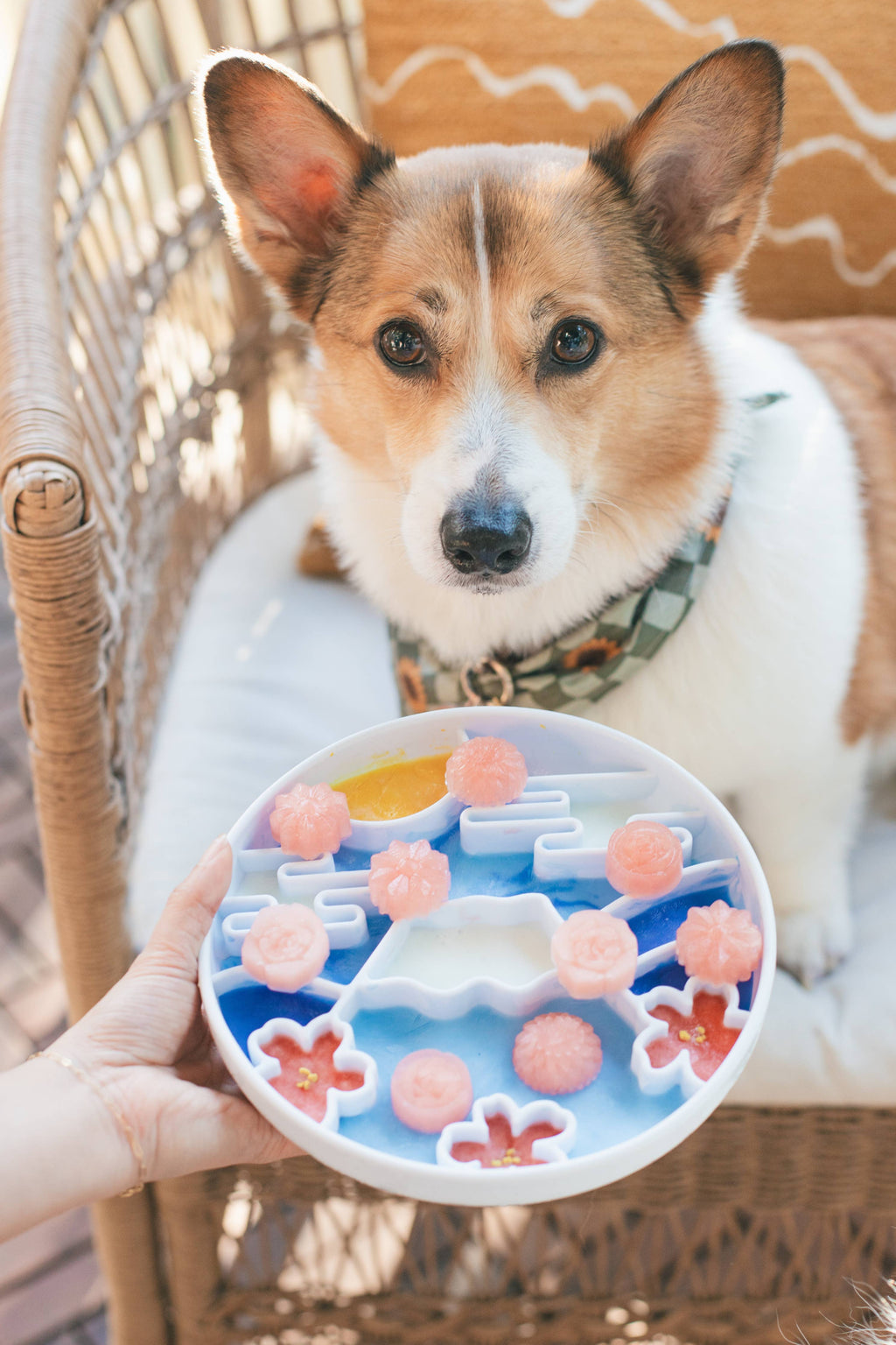 Yama Grub Mat