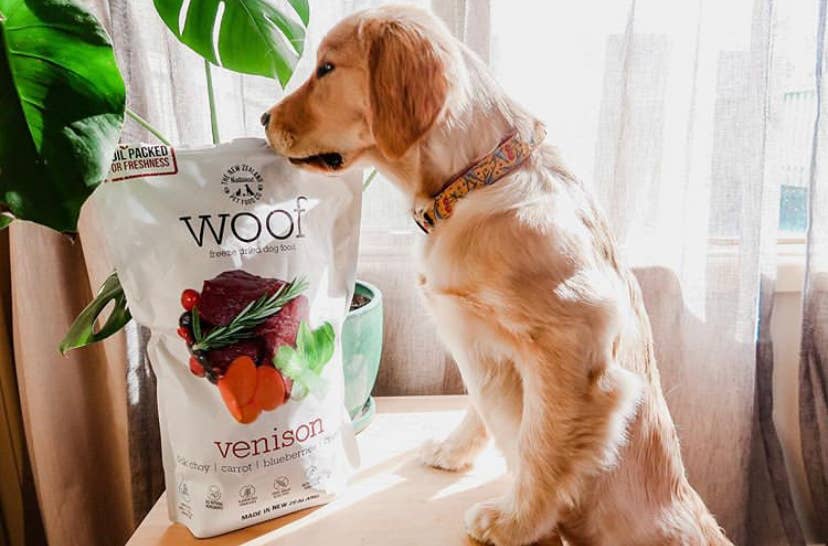 Wild Venison Freeze Dried Dog Food