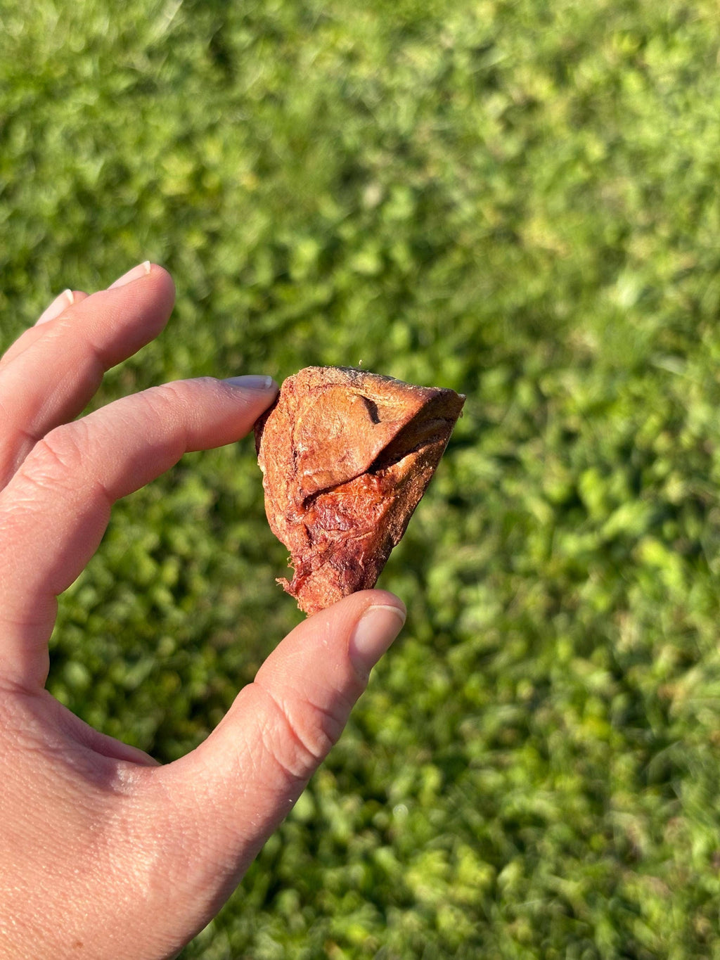 Freeze Dried Liver Licks