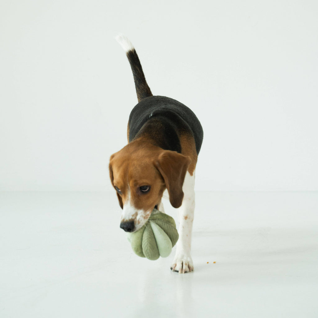 Toto Silent Snuffle Ball