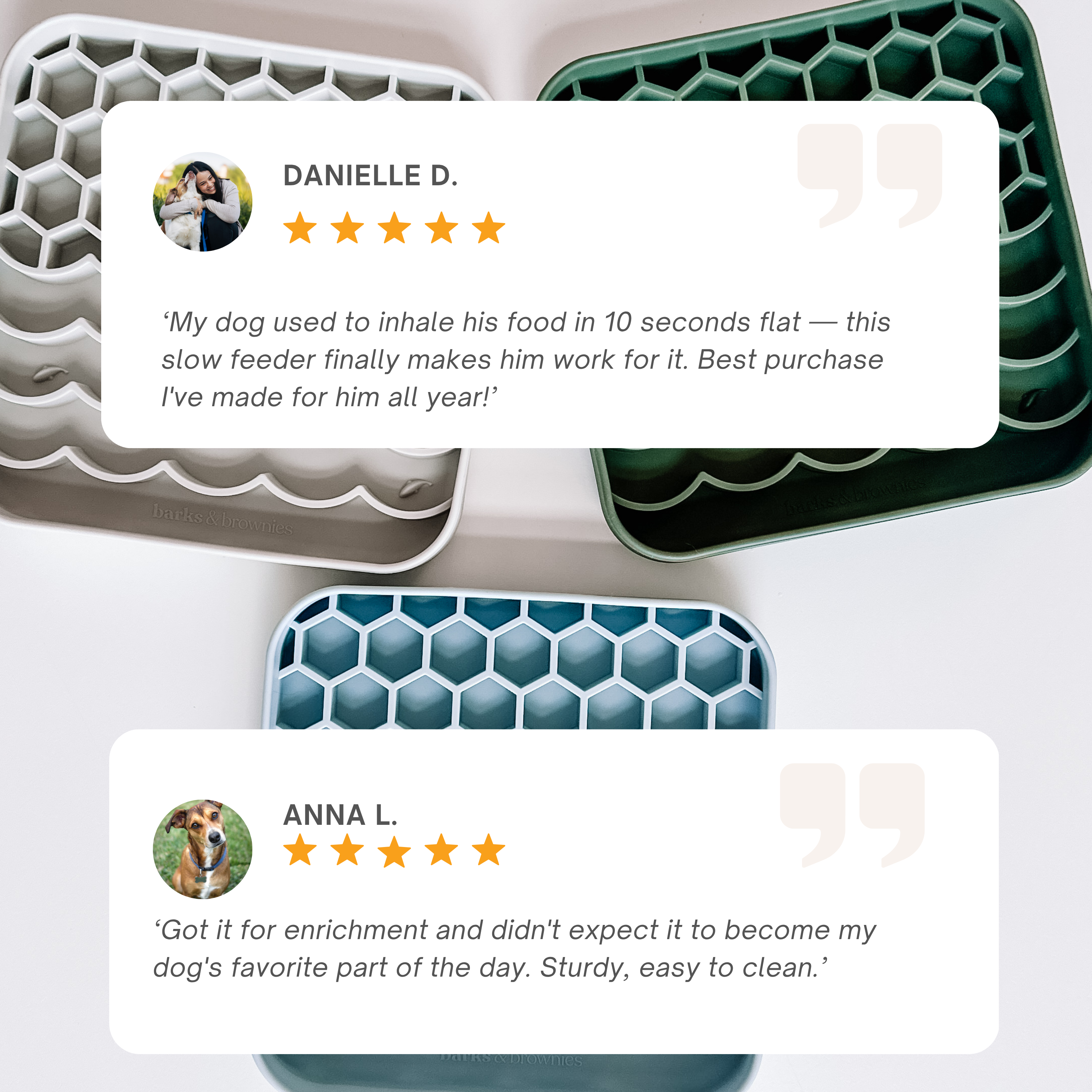 NEW ! Tandem Slow Feeder Oat Milk