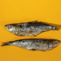 Freeze-Dried Sardines - 5" To 7" In