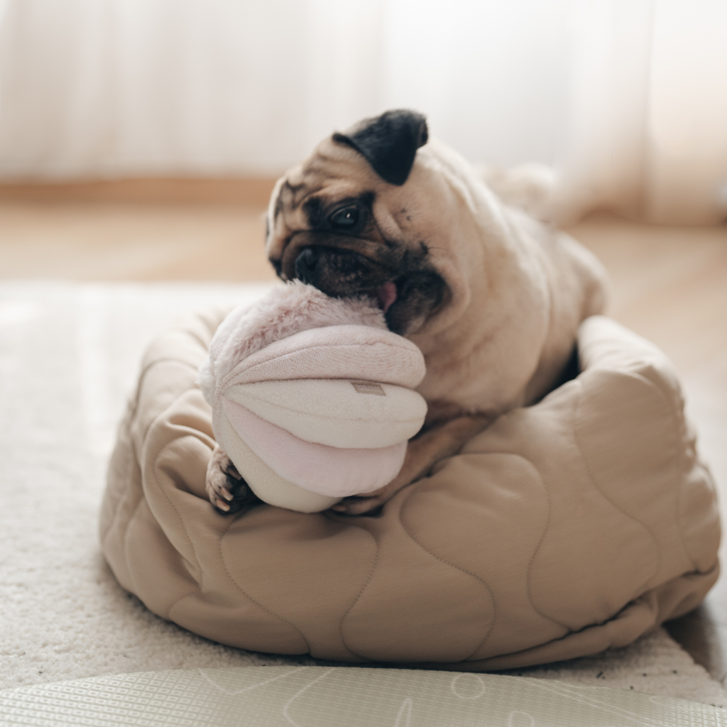 Toto Snuffle Ball