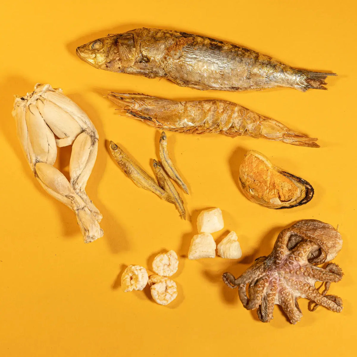 Neptune's Nibbles - Seafood Bag Dogs & Cats
