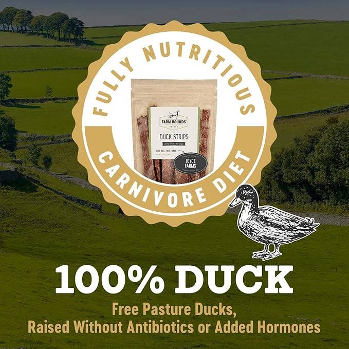 Freeze-Dried Duck Strips