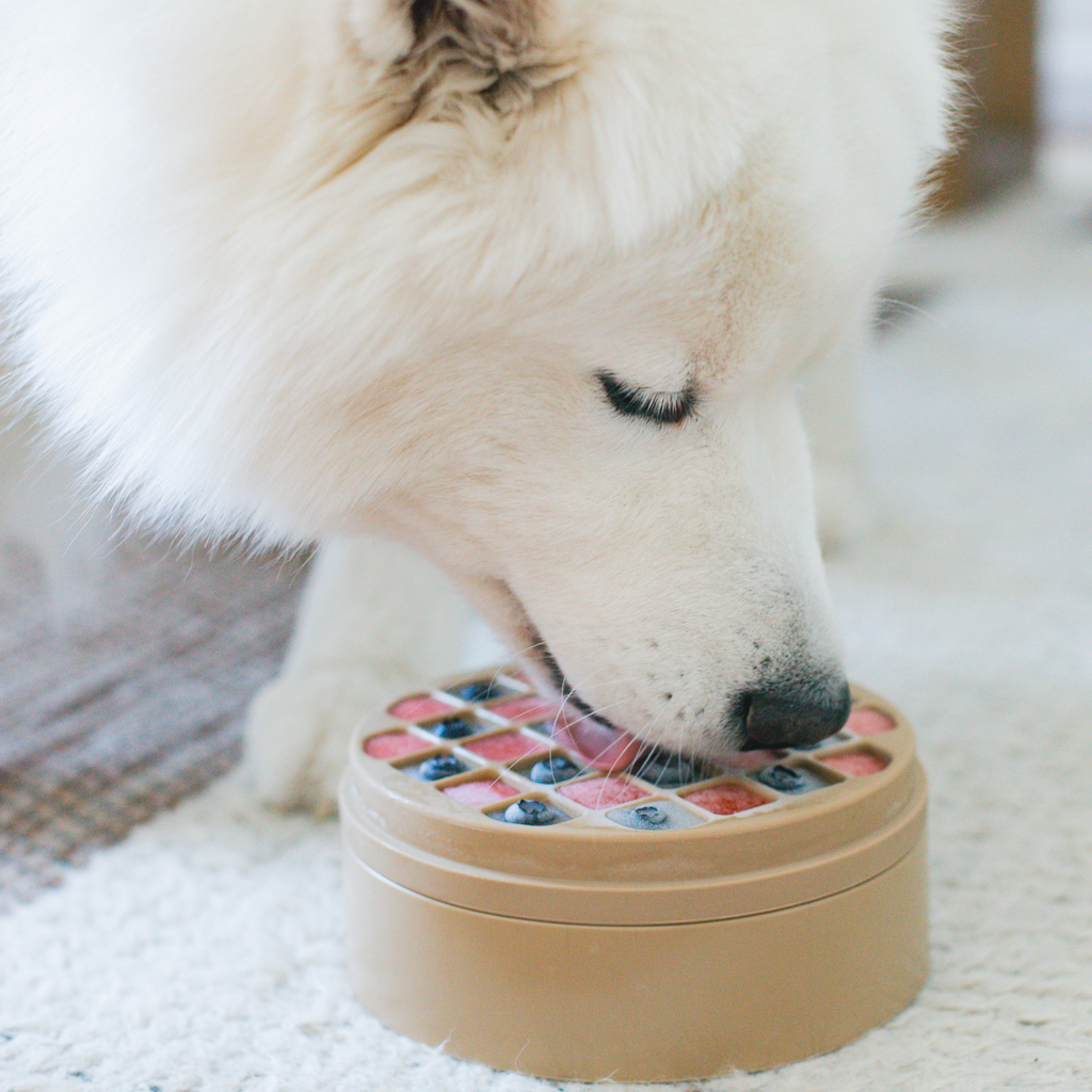 Bento Lick Mat & Slow Feeder
