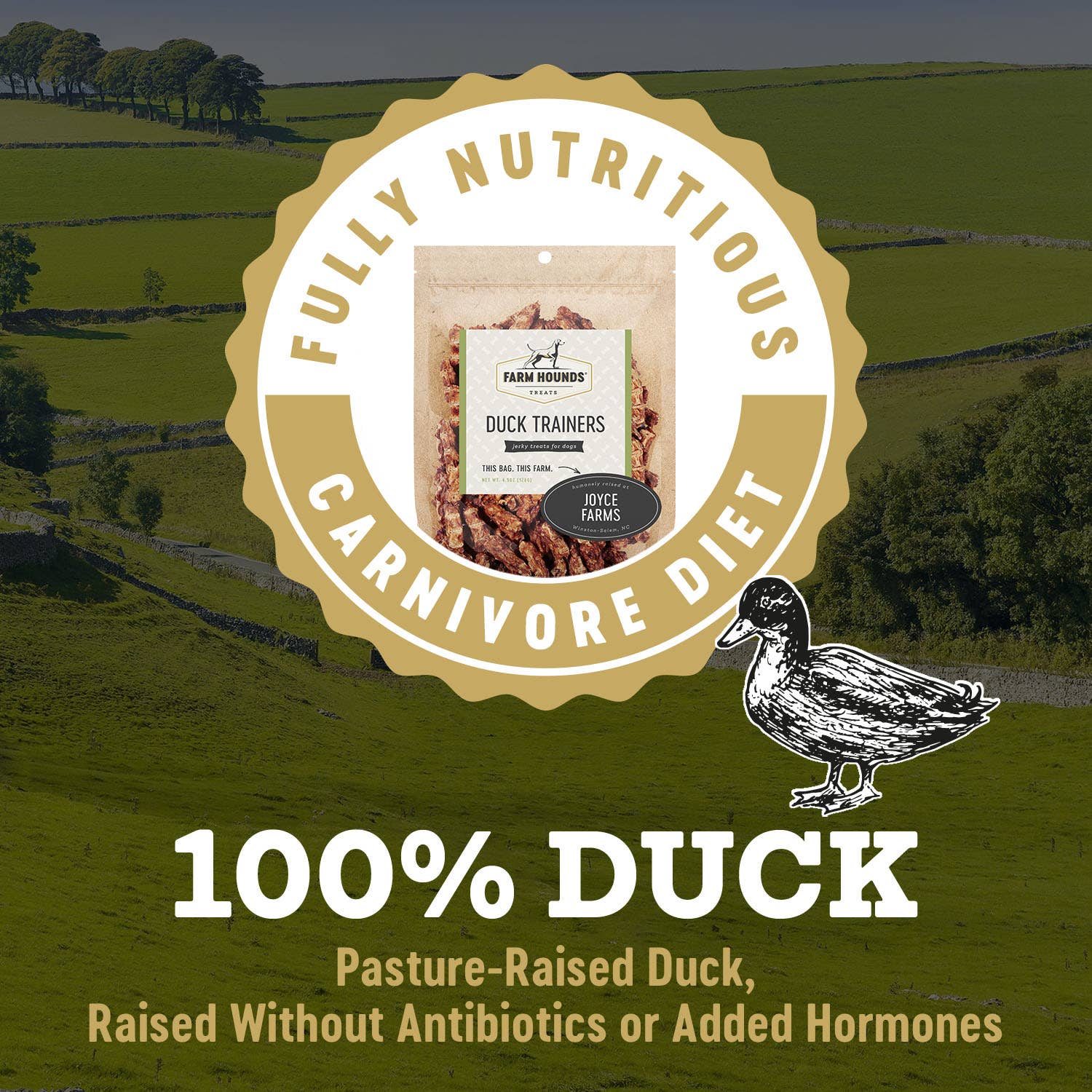 Freeze-Dried Duck Trainer