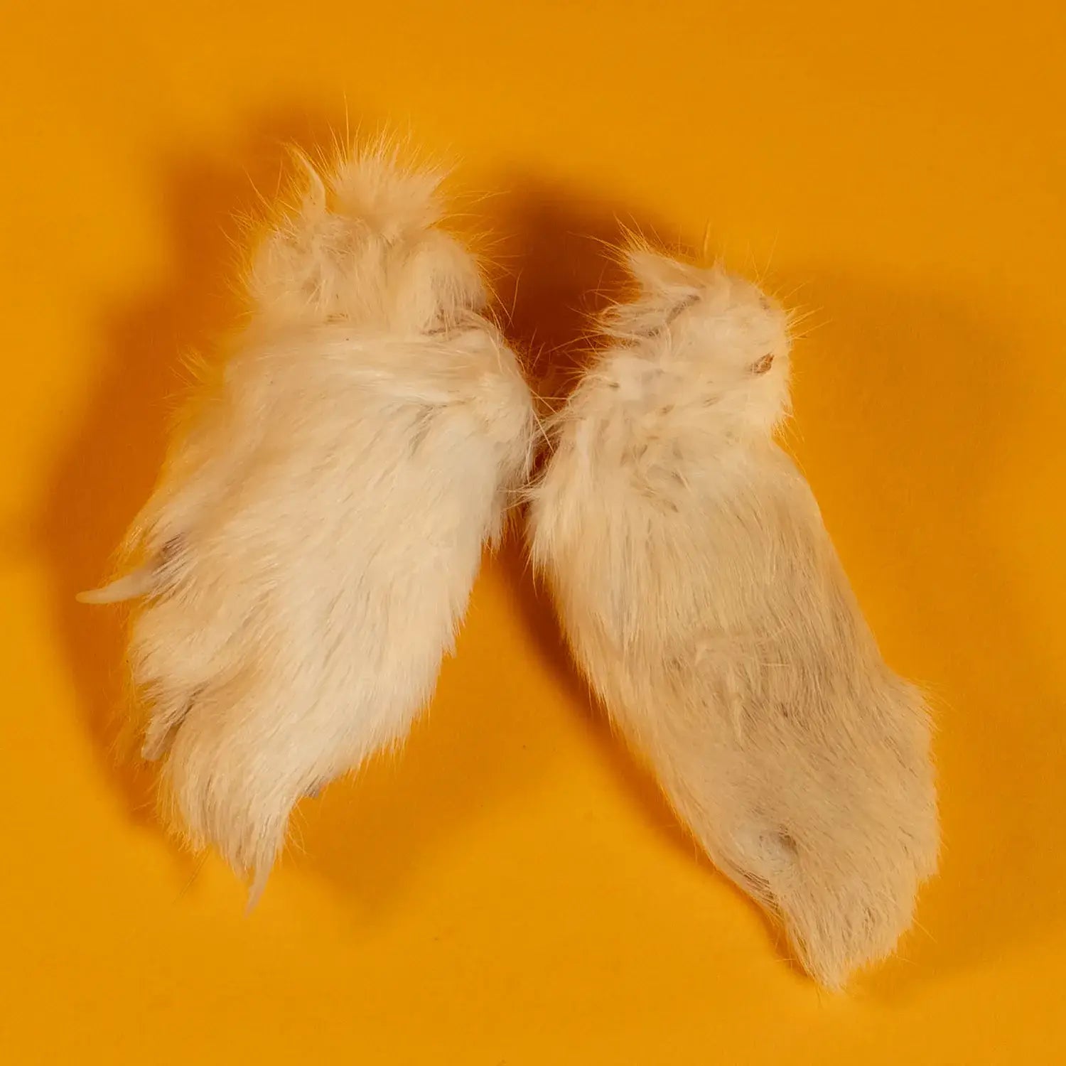 Freeze-Dried Rabbit Front Feet/Paw