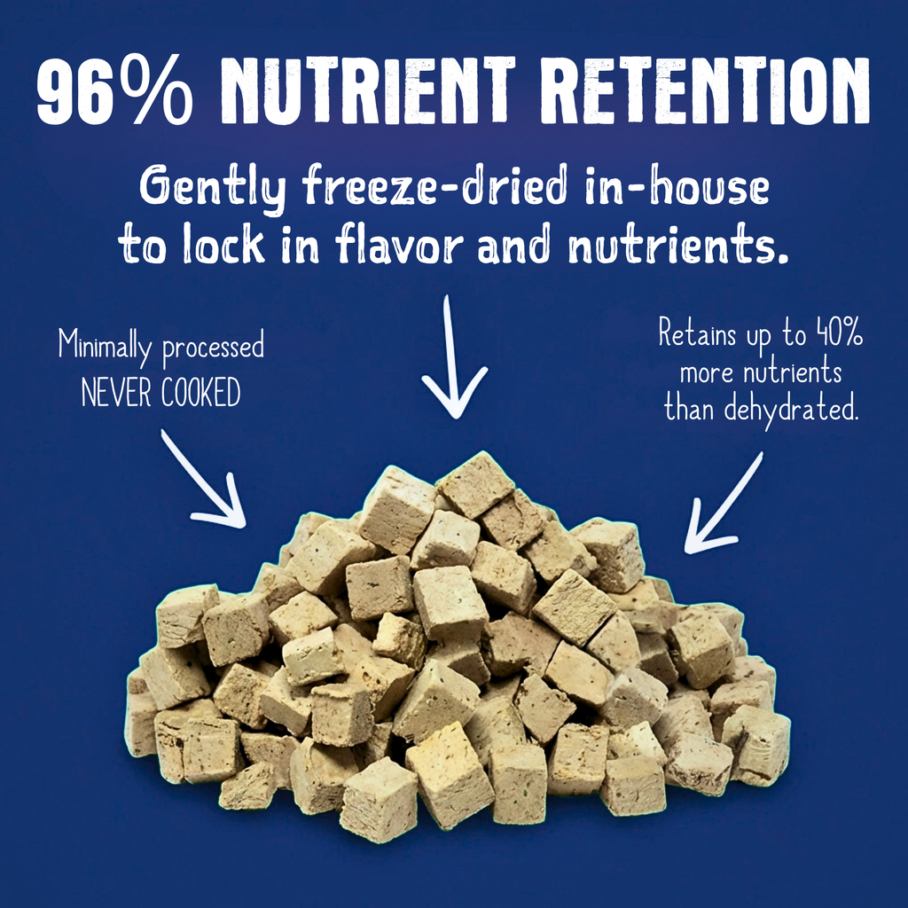 Freeze-Dried Alligator Recipe for Dogs