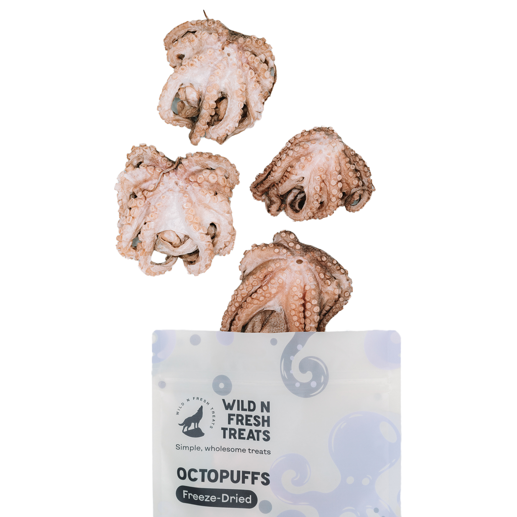 Freeze-Dried Octopuffs