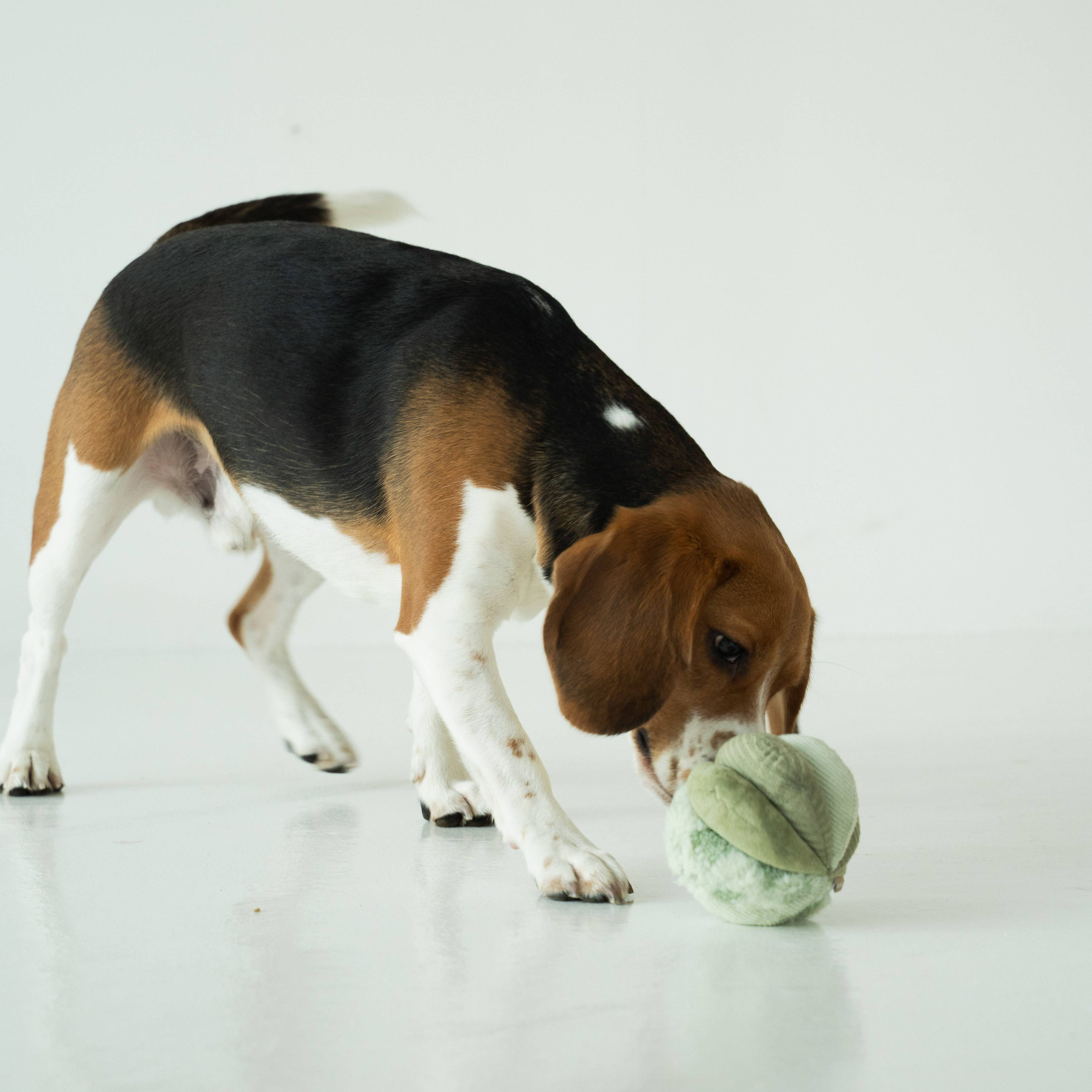 Toto Silent Snuffle Ball