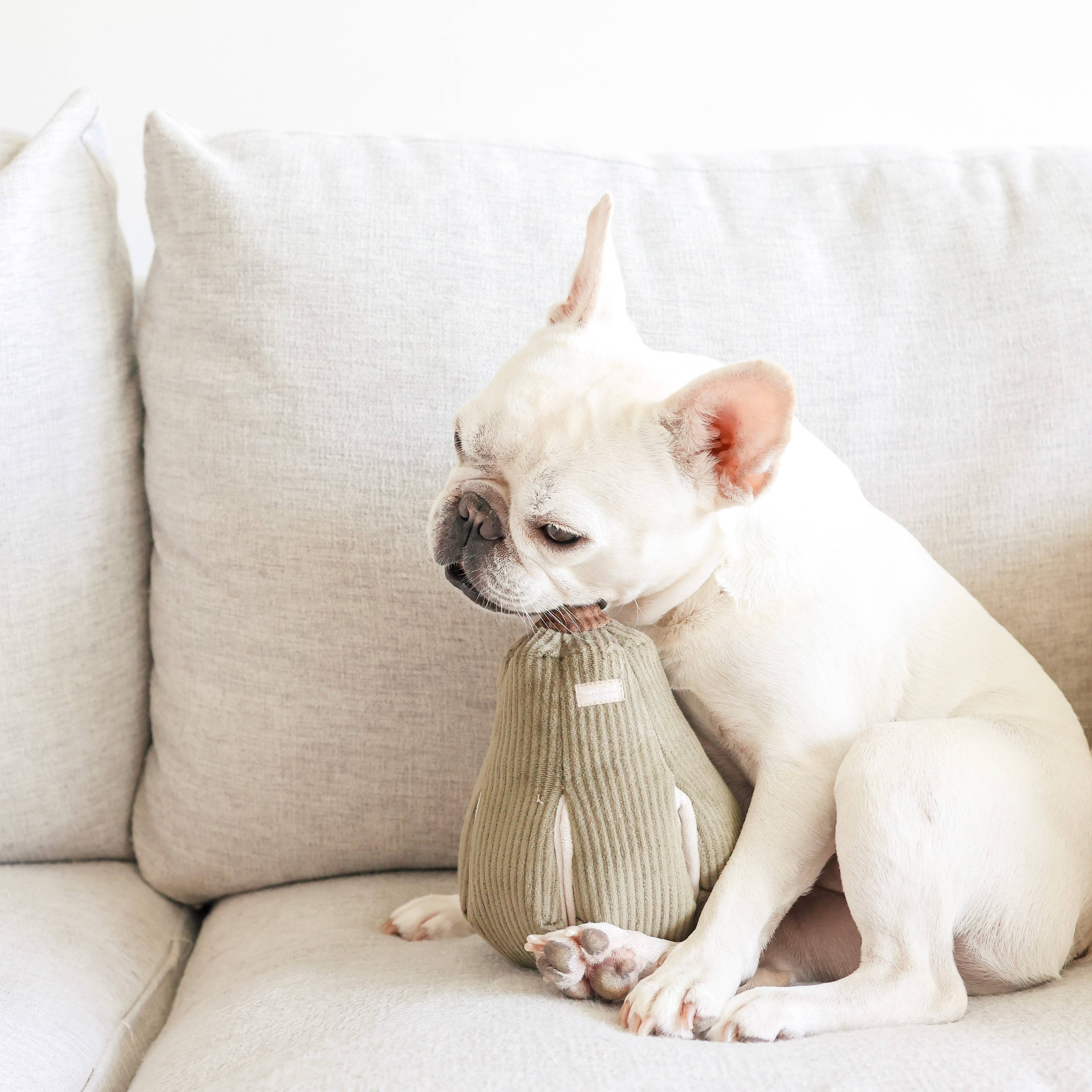 Butternut Snuffle Toy