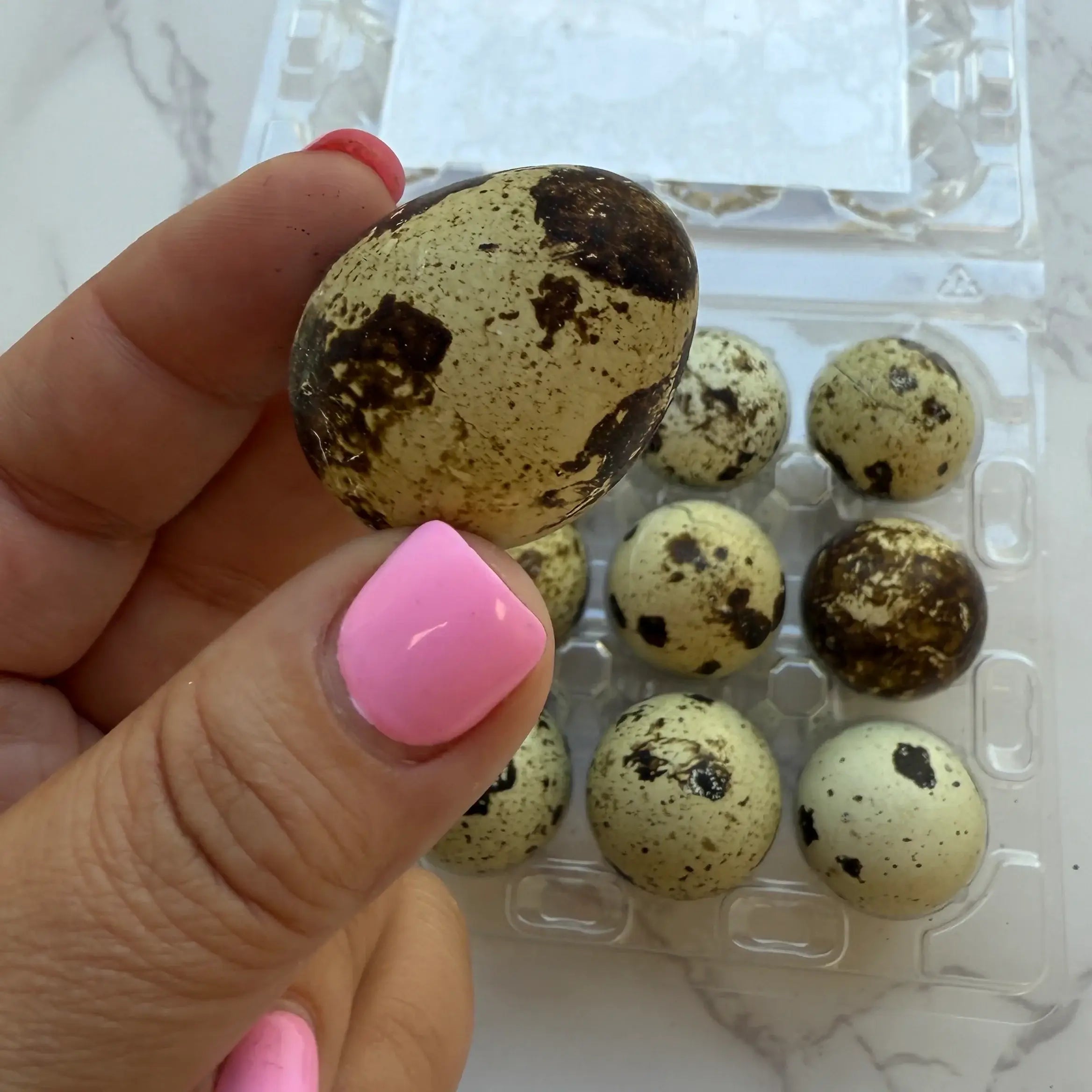 Freeze-Dried Quail Eggs