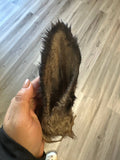 Lamb Ear