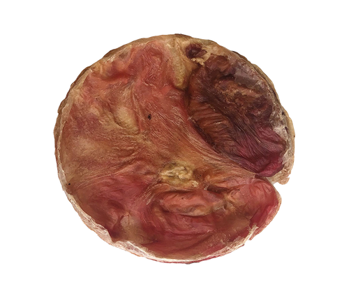 Beef Bladder Frisbee