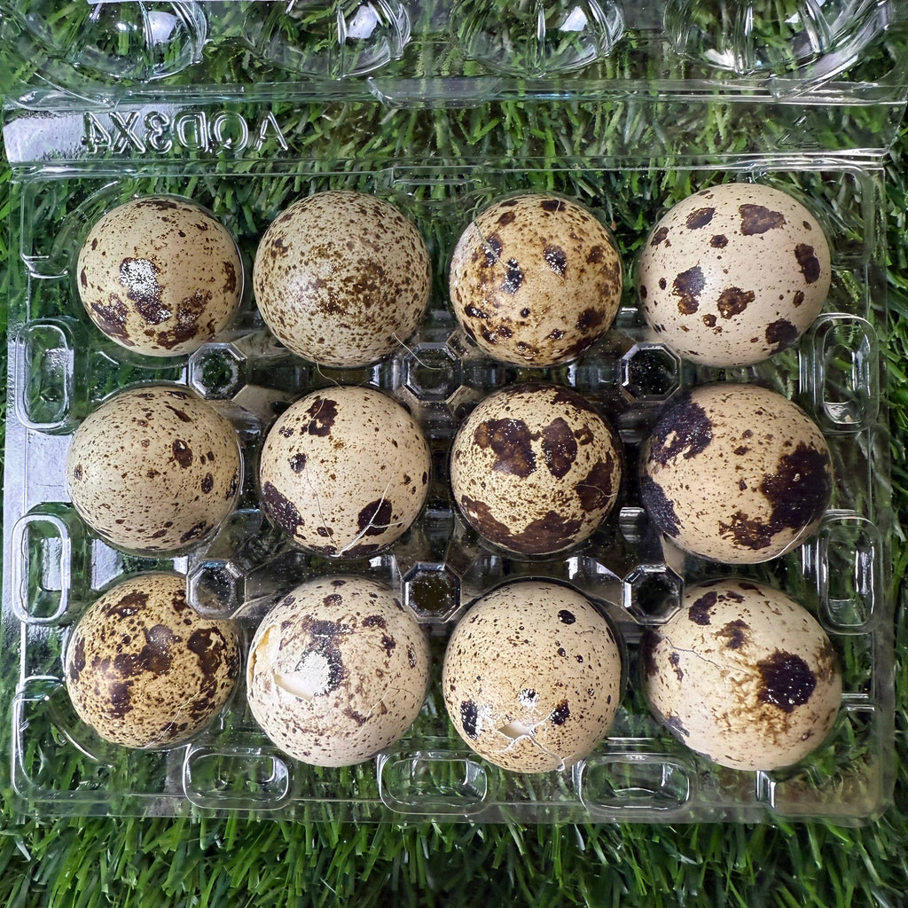 Freeze-Dried Quail Eggs