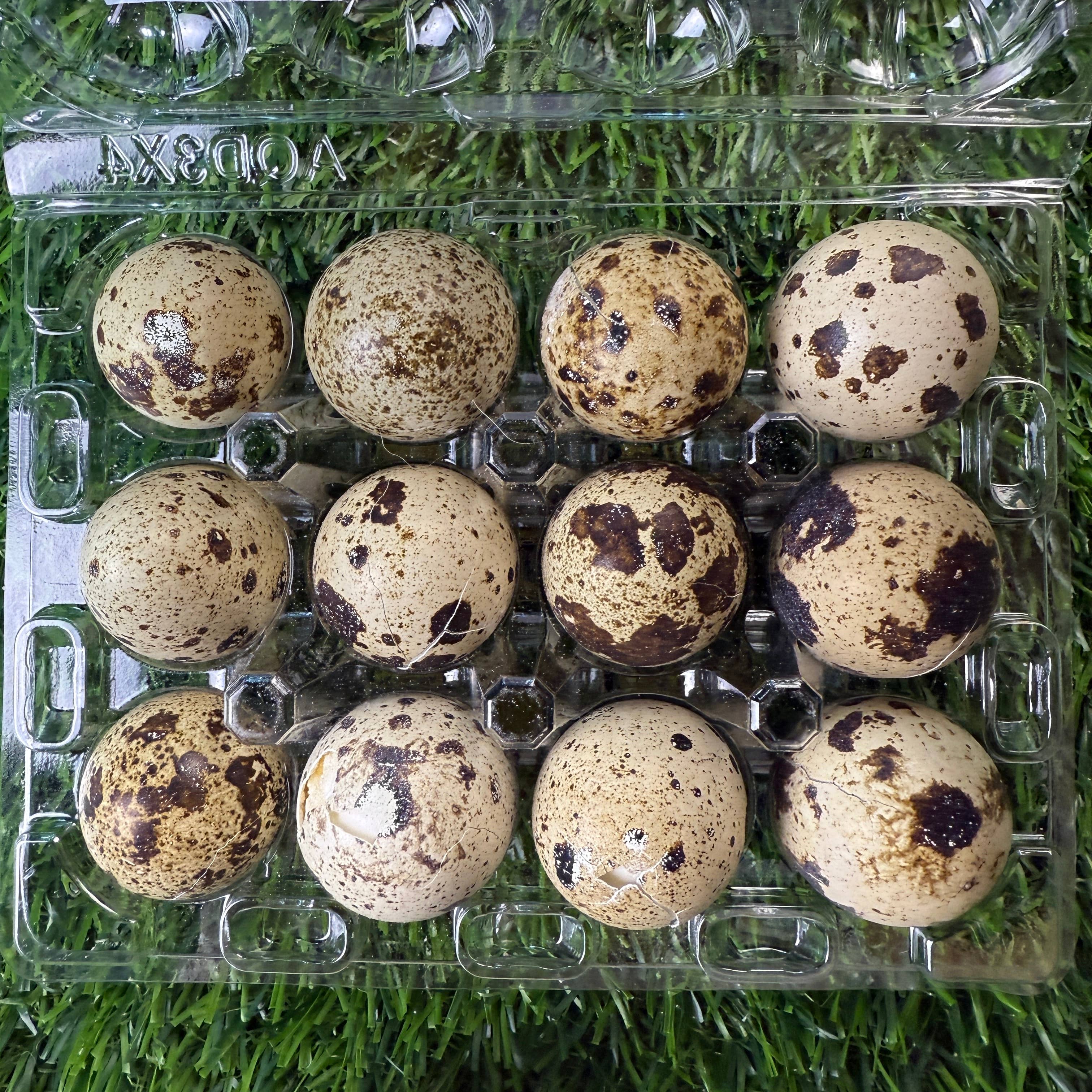 Freeze-Dried Quail Eggs