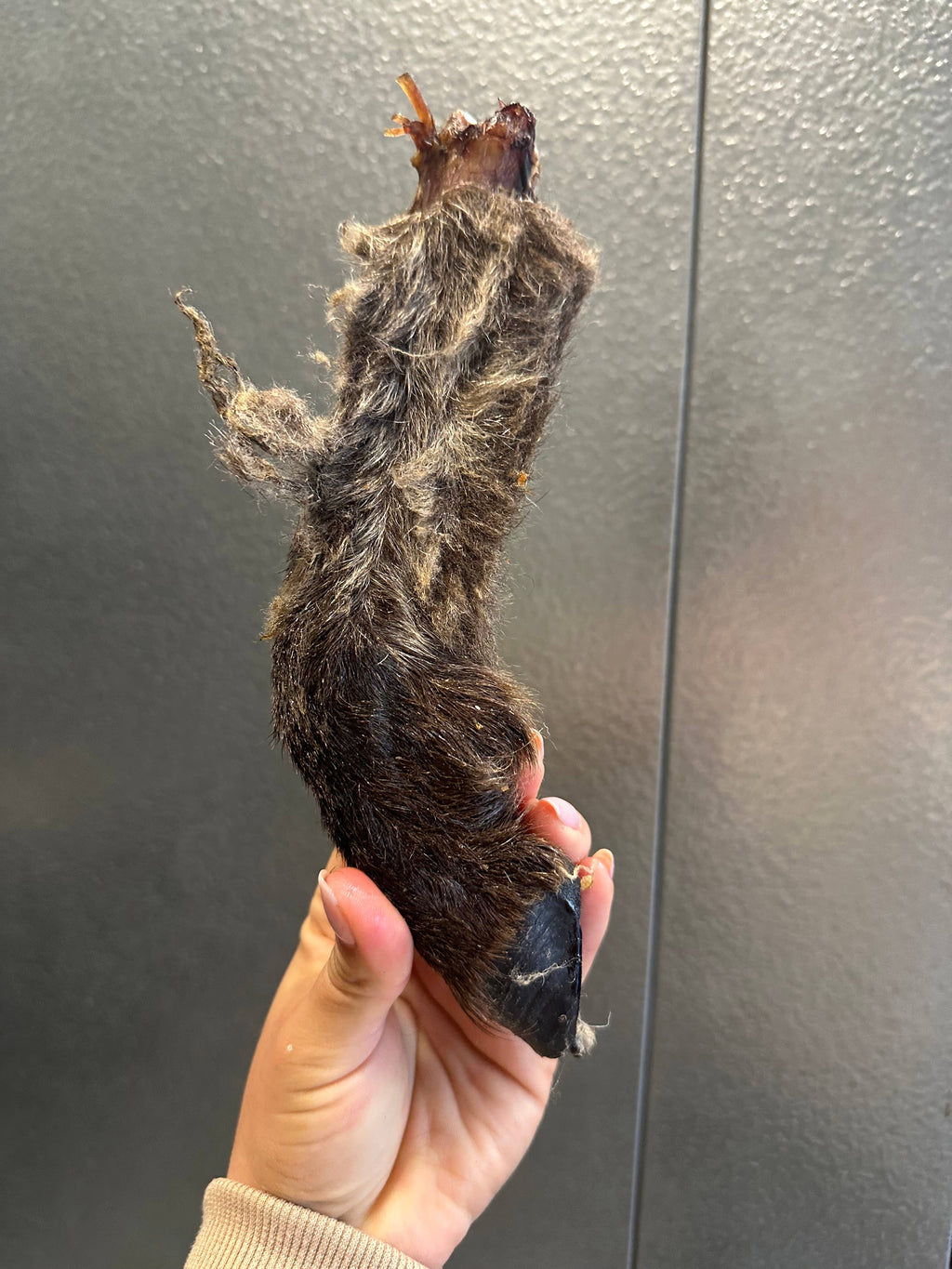 Lamb Trotter With Fur