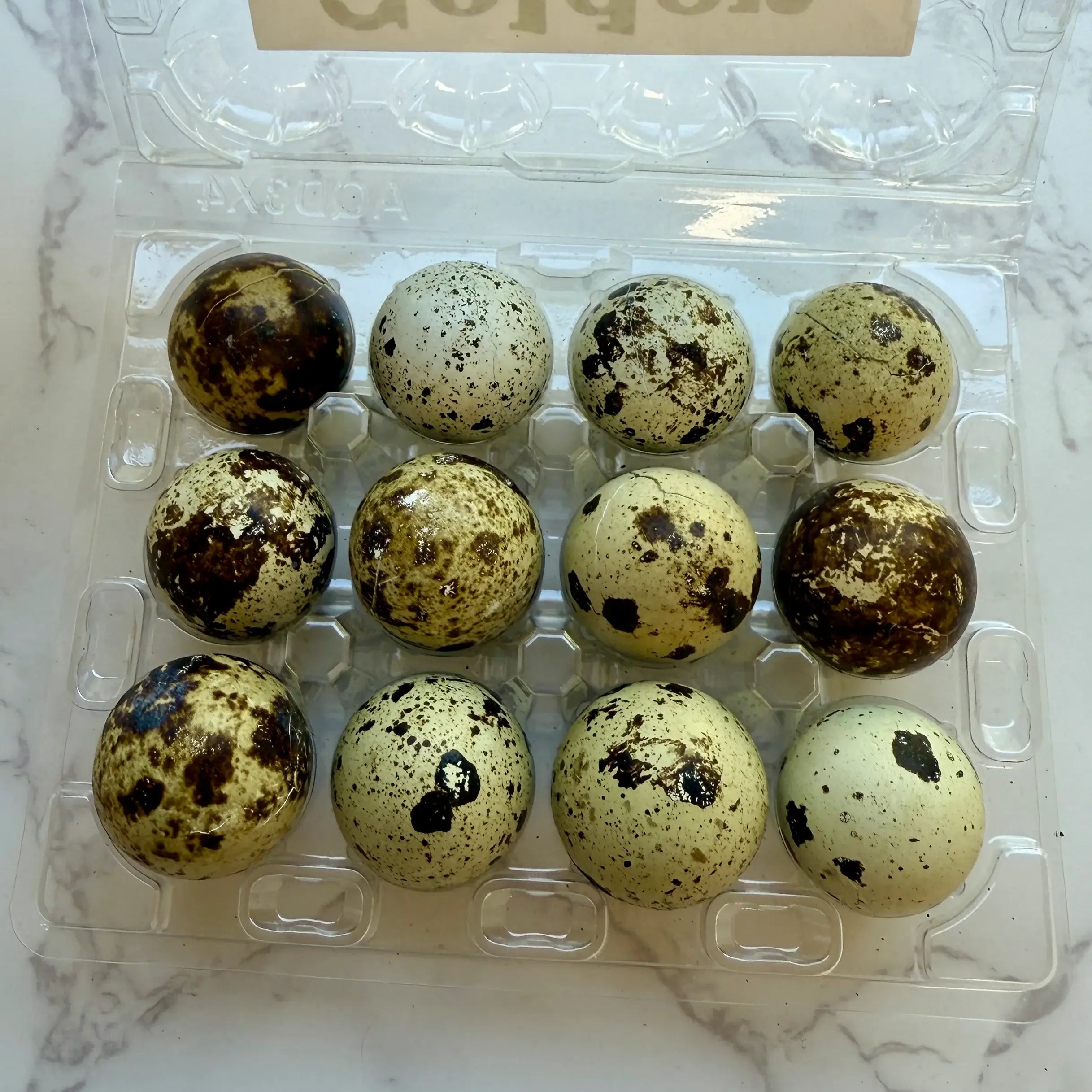 Freeze-Dried Quail Eggs