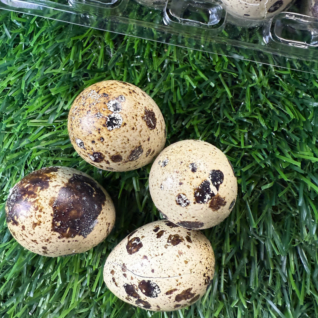 Freeze-Dried Quail Eggs