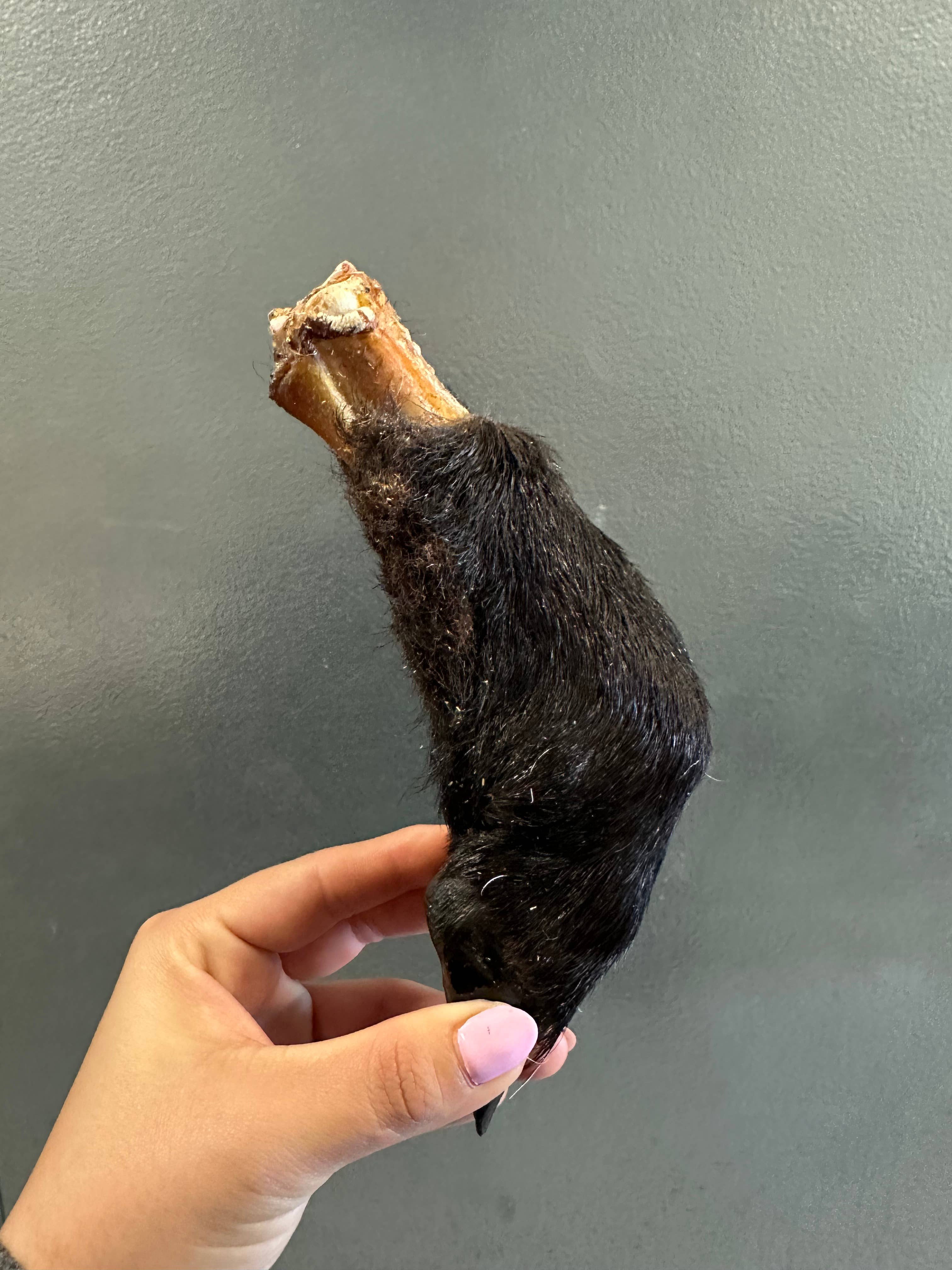 Lamb Trotter With Fur