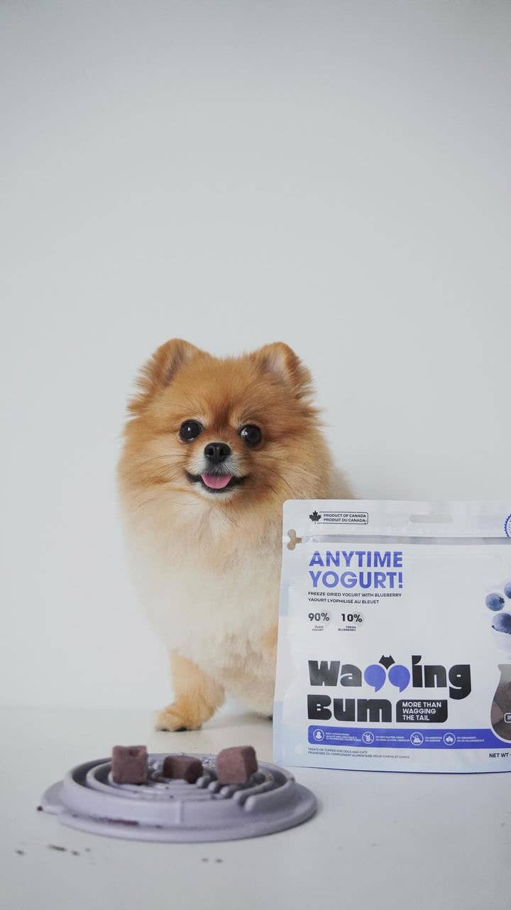 ANYTIME YOGURT! Freeze-dried Greek Yogurt with Blueberry