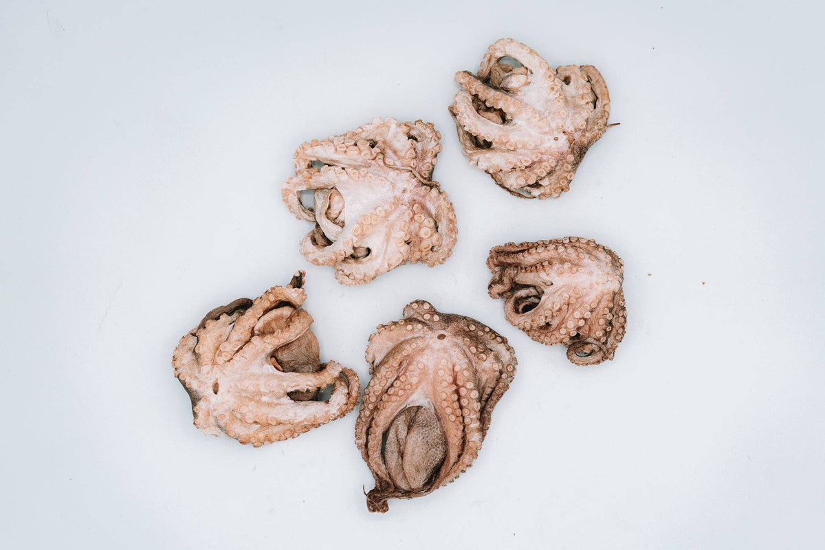 Freeze-Dried Octopuffs