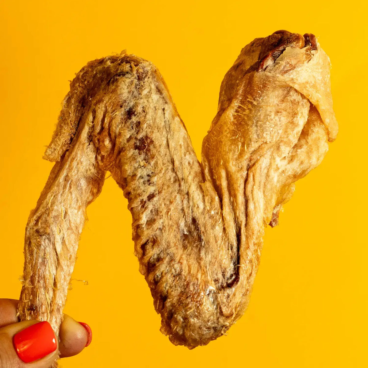 Duck Wing - Freeze-Dried Treat/Chew for Dogs