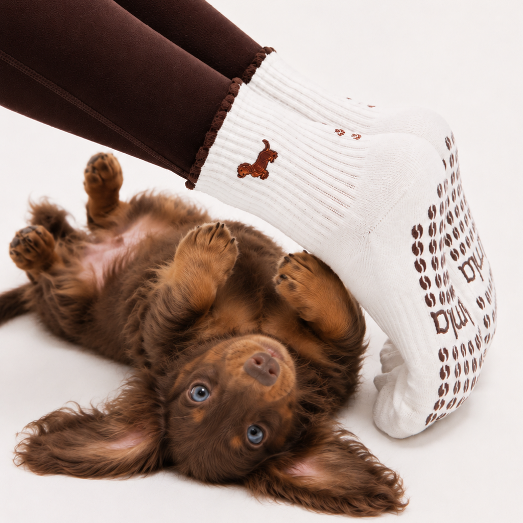 Dachshund & Espresso Martini Double Sided Pilates Grip Sock