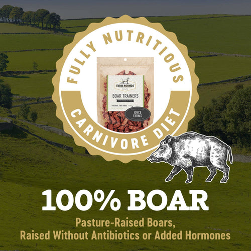 Boar Trainer - All-Natural Dog Treats - 4.5oz