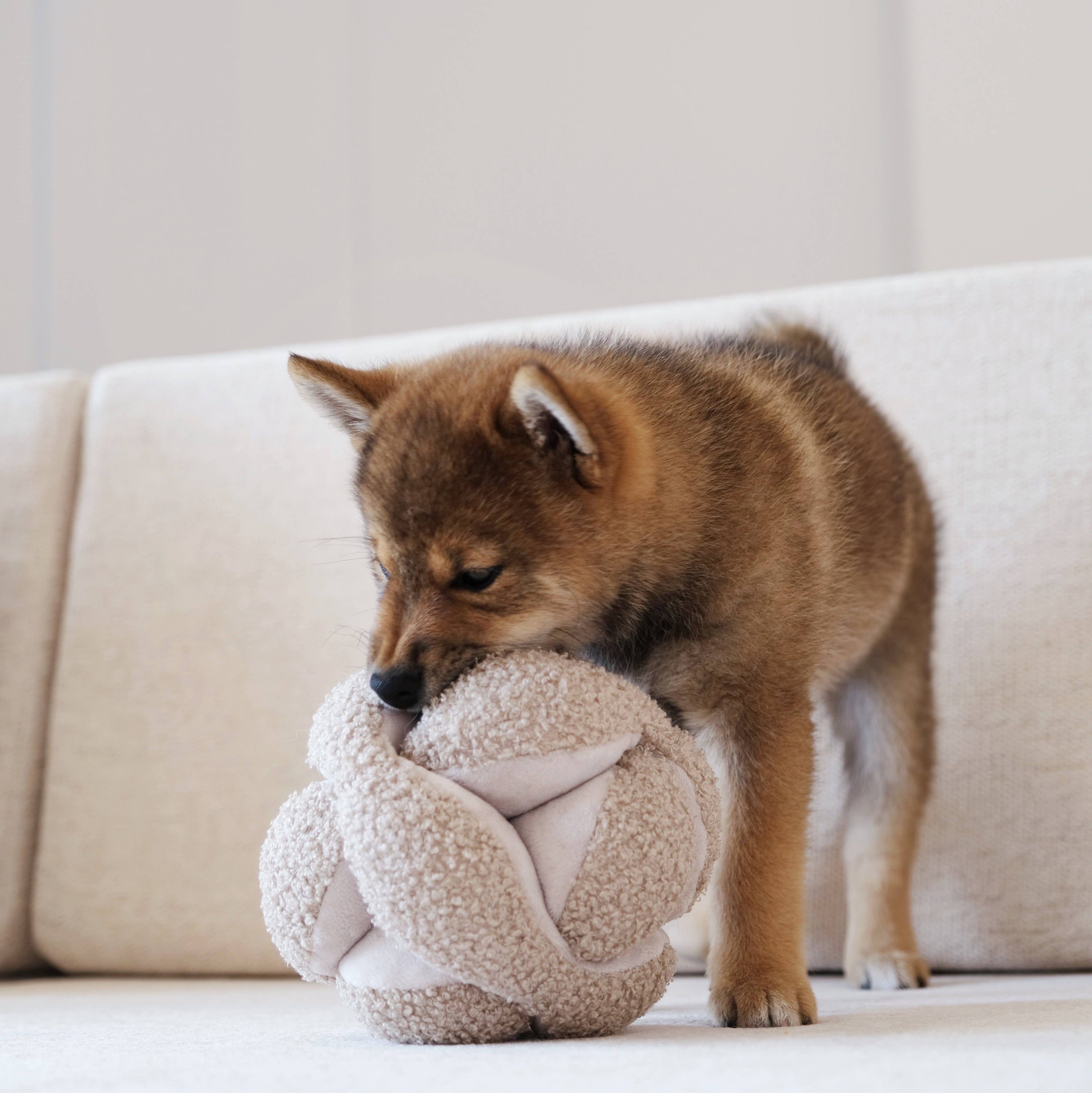 Monti Snuffle Ball
