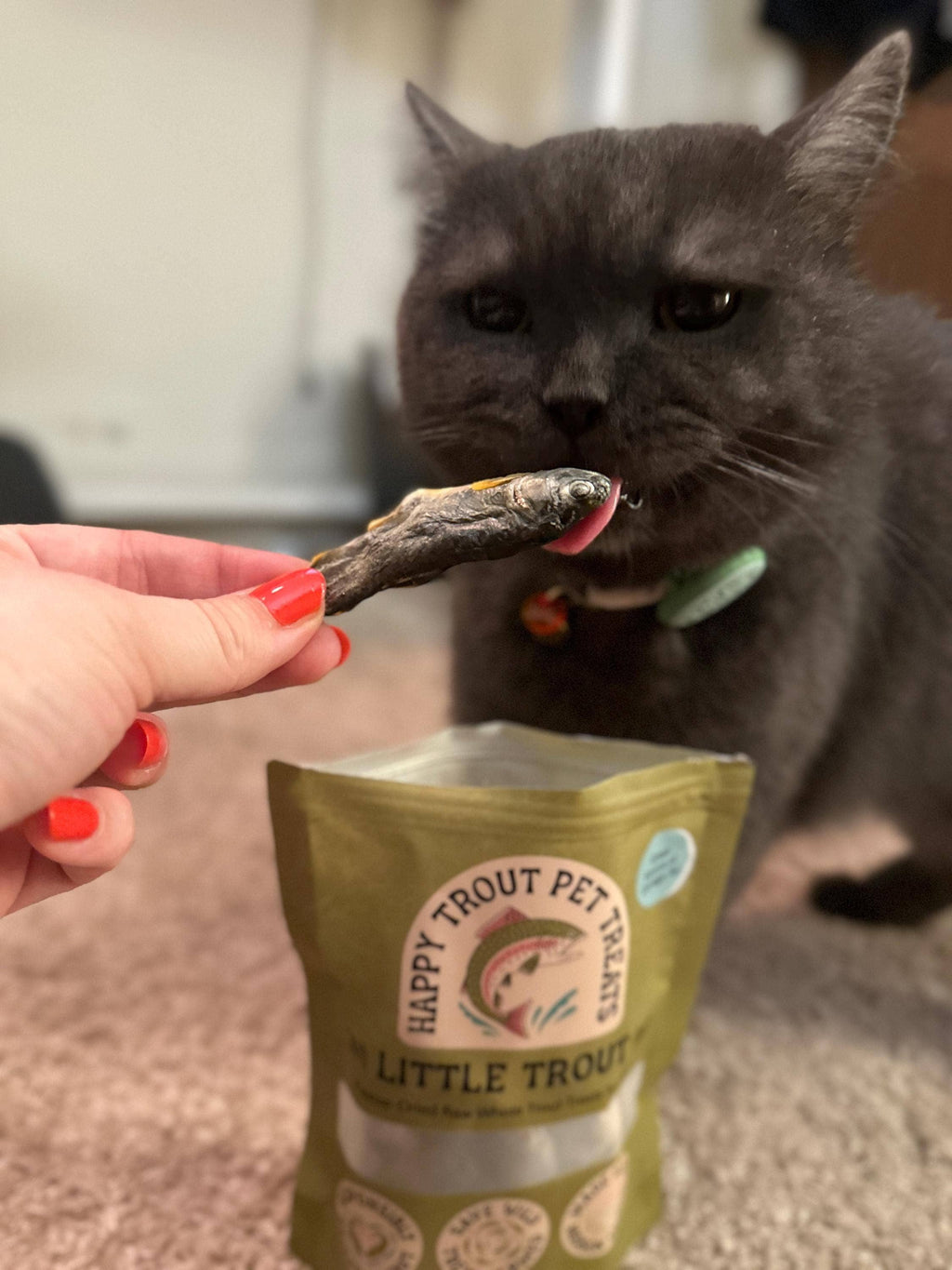 Freeze Dried Little Trout