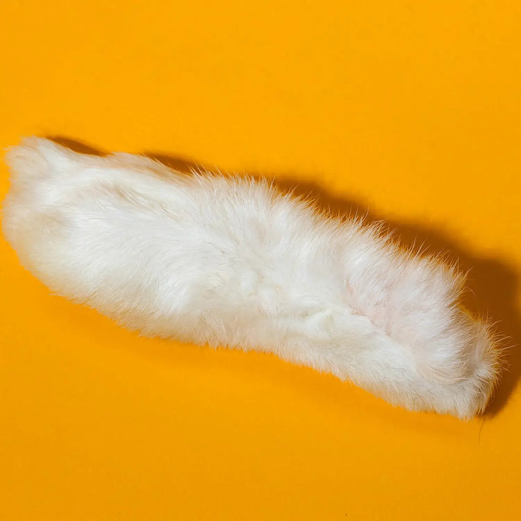 Freeze-Dried Rabbit Feet