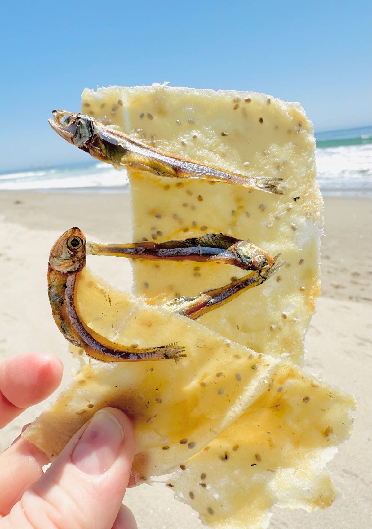 Wild-Caught Cod: Air Dried Jerky Treat